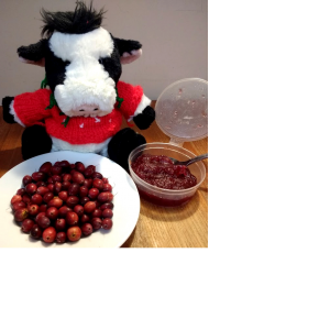 Jam MK Home made Cranberry Sauce (110g)