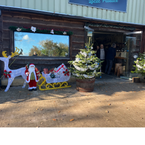 Christmas Fayre 8th November 12pm - 1pm