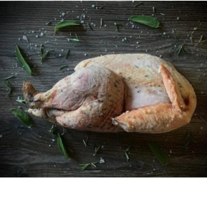 Frozen 2-3kg KellyBronze Turkey Demi