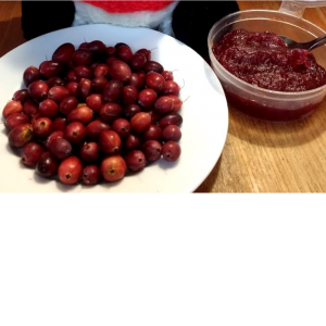 Jam MK Home made Cranberry Sauce (110g)